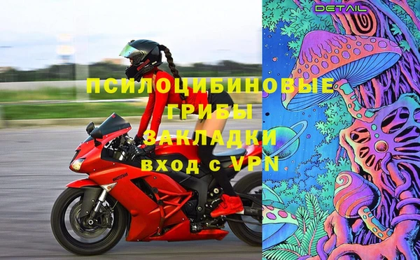 ГАЛЛЮЦИНОГЕННЫЕ ГРИБЫ Зеленокумск
