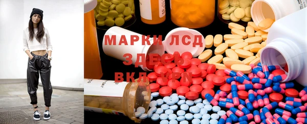 тгк Инсар