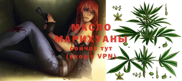 тгк Инсар