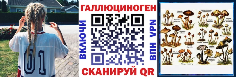 Галлюциногенные грибы GOLDEN TEACHER  Купить закладки  Дорогобуж 